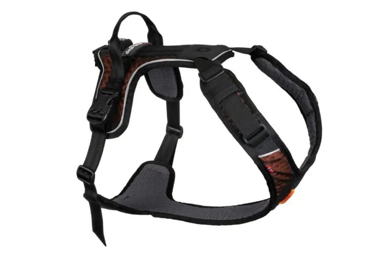 Non-Stop Rock Harness black/orange