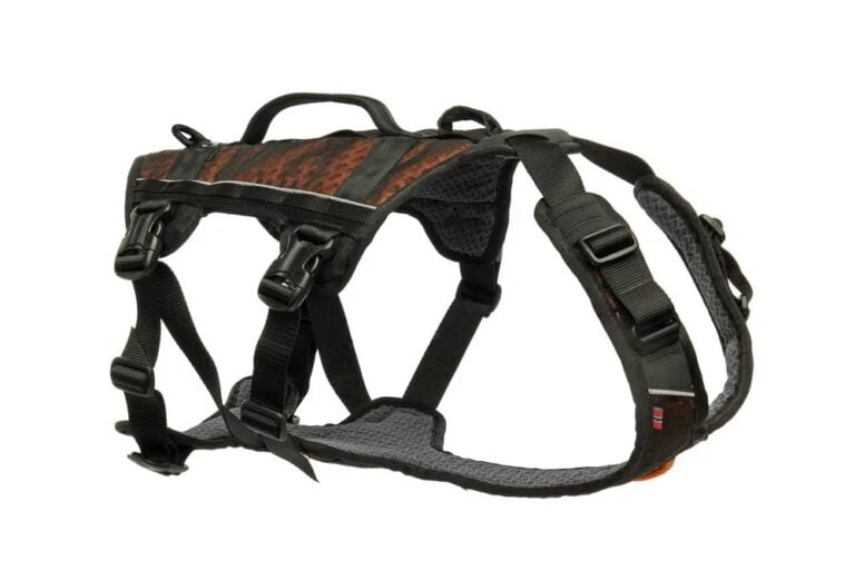 Non-Stop Rock Harness long black/orange