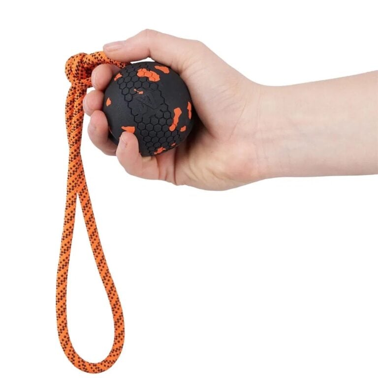 Non-Stop Dog Ball On Rope