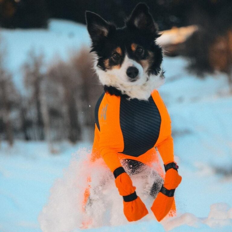 Non-Stop Contact bootie high unisex black/orange 4kpl