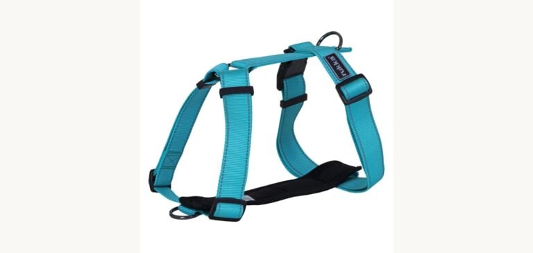 Rukka Form Harness Turkoosi