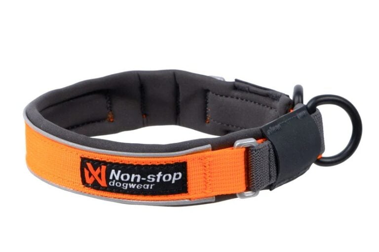 Non-Stop Dogwear Protector collar oranssi