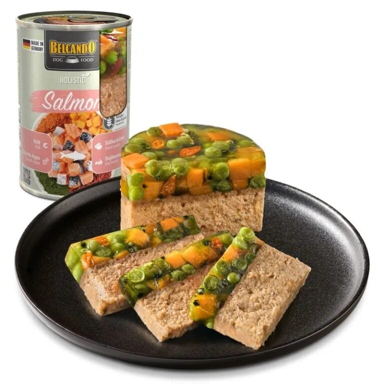 Belcando Holistic Lohi 400g - märkäruoka