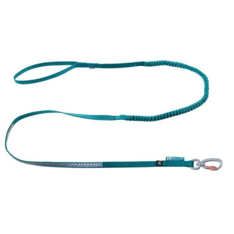 Non-Stop Touring Bungee teal 13mm 2,8m
