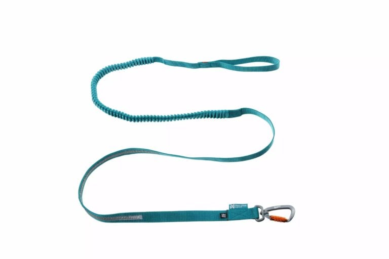 Non-Stop Touring Bungee teal 23mm