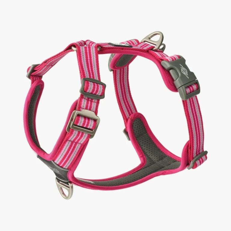 Dog Copenhagen Comfort Walk Air™ Harness Wild Rose
